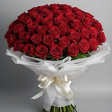 Букет 101 Красная роза Блэк Мэджик в Козино