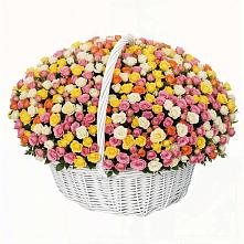 Премиум букет из: Розы #REPLACE_PRED# Козино