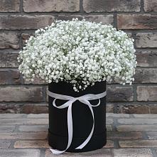 Цветочная композиция из Гипсофила в шляпной коробке в Козино